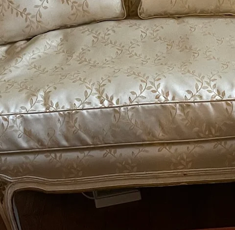 Ivory embroidered vine-pattern silk swatch